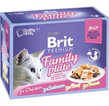 Kapsička pre mačky Brit Premium Family Plate Jelly 12x85 g-thumb-0