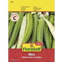 Ibištek jedlý 'Okra' FloraSelf Select-thumb-0