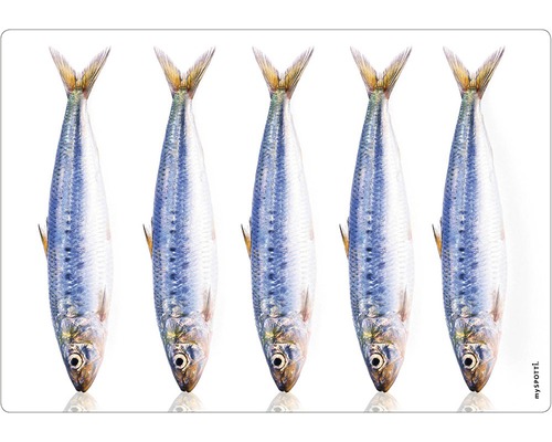 Obkladový panel do kuchyne mySPOTTI pop Ryba 41x59 cm Dekoratívna rohožka s motívom sardiniek