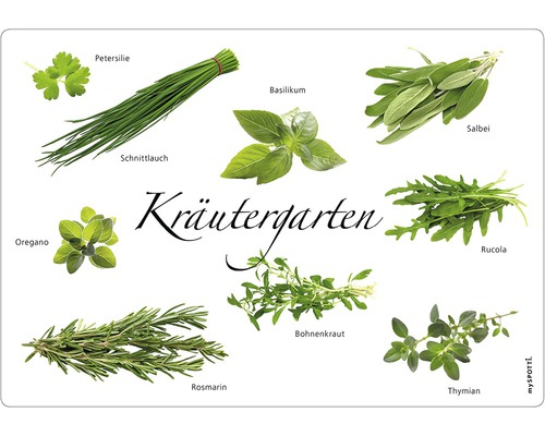 Obkladový panel do kuchyne mySPOTTI pop Bylinky 41x59 cm Obrázok rôznych bylín, ako je petržlen, pažítka, bazalka, šalvia, oregano, rukola, rozmarín, saturejka a tymian