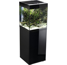 Akvarijný komplet s rastlinami a dekoráciou na čiernej skrinke