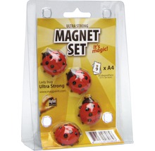 Sada magnetov s motívmi lienok v balení