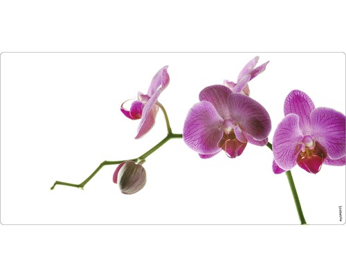 Obklad do kúpeľne mySPOTTI aqua Orchidee pink 90x45 cm Detail orchidey