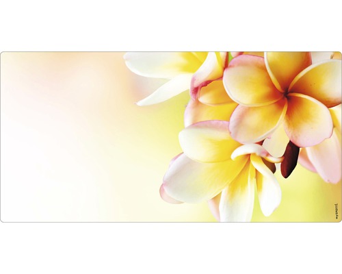 Obklad do kúpeľne mySPOTTI aqua Hawaii 90x45 cm Kvety na podložke na stôl