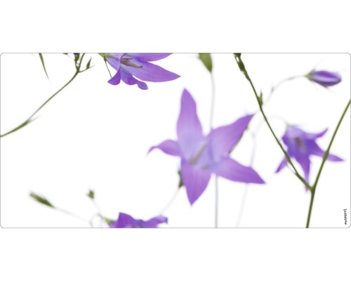Obklad do kúpeľne mySPOTTI aqua Glockenblume 90x45 cm Zvončeky na svetlom pozadí
