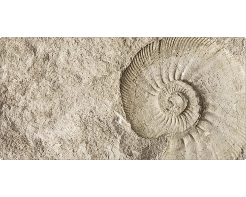 Obklad do kúpeľne mySPOTTI aqua Fossil 90x45 cm Fosílna stopa v kameni