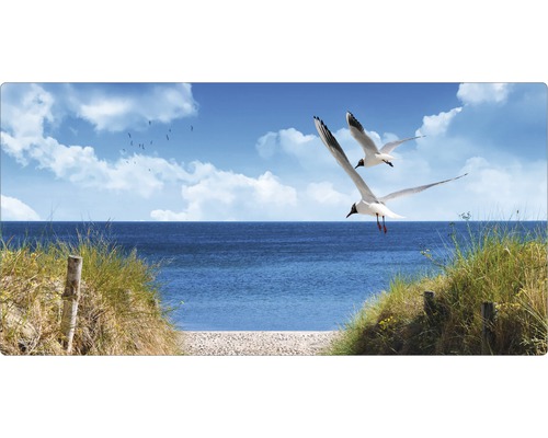 Obklad do kúpeľne mySPOTTI aqua North Sea 90x45 cm Dekoratívny panel s motívom pláže, čajok a mora