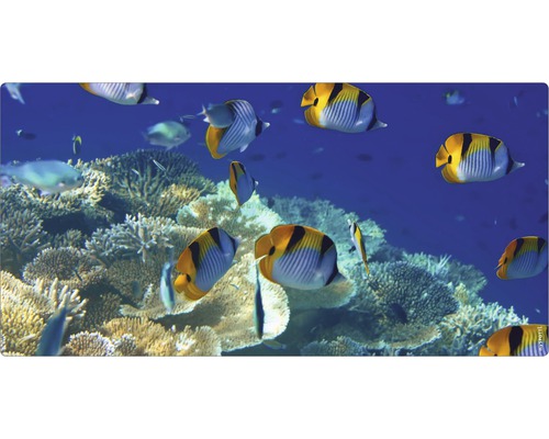 Obklad do kúpeľne mySPOTTI aqua Unterwasser 90x45 cm Dekorácia akvária s rybami a koralovým útesom