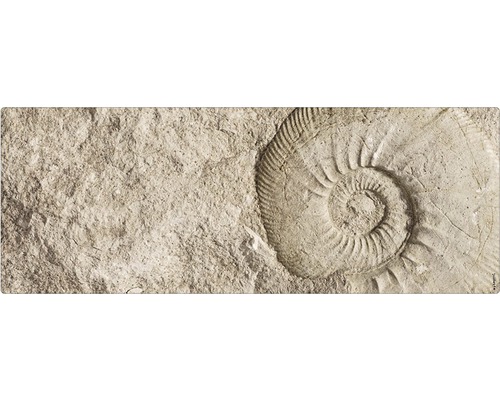 Obklad do kúpeľne mySPOTTI aqua Fossil 120x45 cm