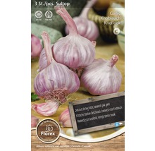 Balenie cesnaku Sultop s tromi kusmi