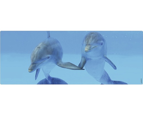 Obklad do kúpeľne mySPOTTI aqua Delphin 120x45 cm Dva delfíny vo vode