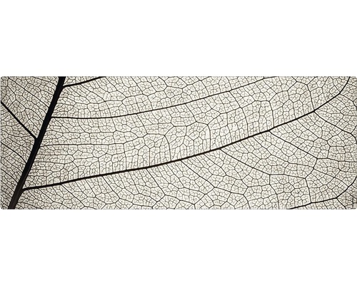 Obklad do kúpeľne mySPOTTI aqua Struktur 120x45 cm Detailný záber listovej kostry