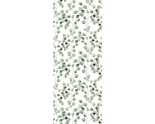 Tapeta so vzorom eukalyptu