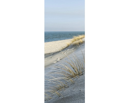 Piesočná tráva na pláži