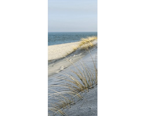 Duna s piesočnicou pred morom