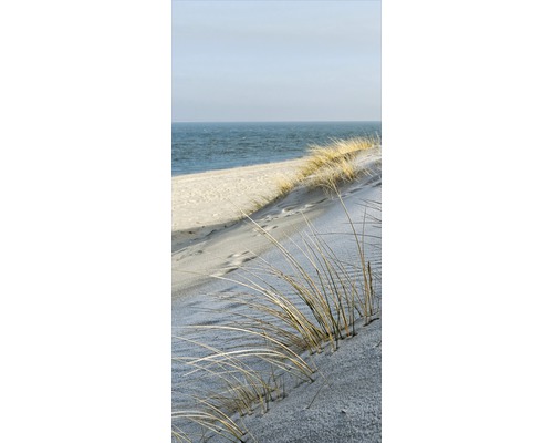 Pobrežná tráva na dune pri mori