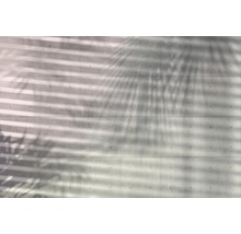 Fototapeta Tiene rastlín 368x248 cm