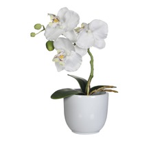Umelá orchidea v kvetináči