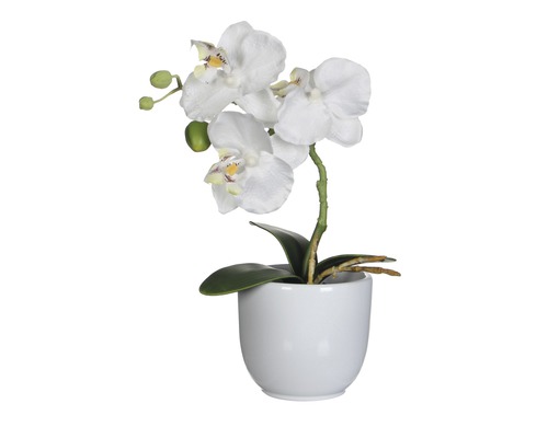 Umelá kvetina phalaenopsis 26 cm biela