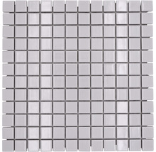 Keramická mozaika CG 104 biela, lesklá 30 x 30 cm