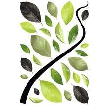 Ilustrácia rôznych listov a štylizovaného konára.