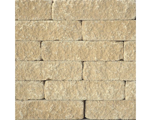 Múr z prírodného kameňa