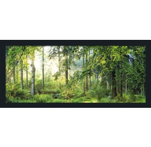 Obraz v ráme Forest Harmony 130x60 cm-thumb-0