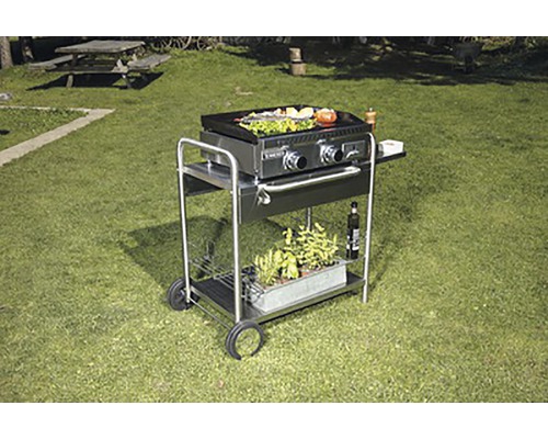 Grilovací vozík s grilovacou doskou a dvoma horákmi v záhrade