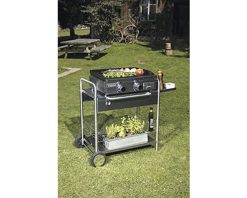 Napoleon grilovací vozík s grilovacou doskou v záhrade