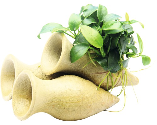 Dekorácia do akvária s jaskyňami a vodnou rastlinou