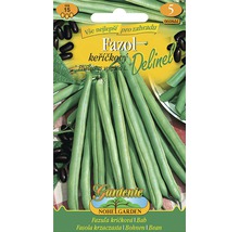 Balenie semien kríčkovej fazule