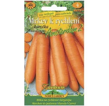 Balíček semien mrkvy pre rýchly rast