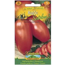 Balenie semien pre kríčkové paradajky