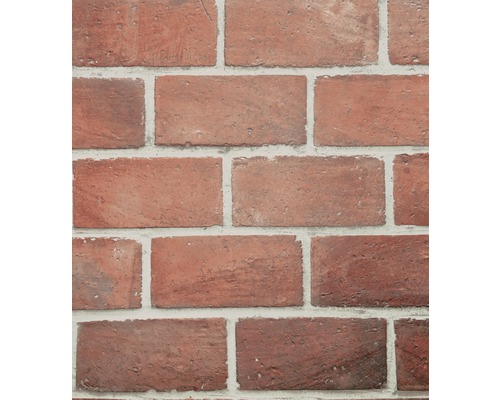 Obkladový kameň Portlandská dlažba Brick Garda 056