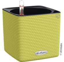 Štvorcový kvetináč Lechuza so zavlažovacím systémom