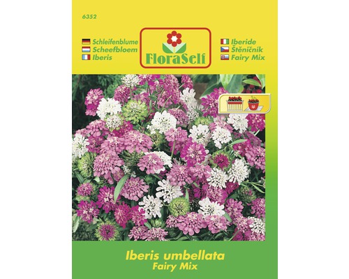 Iberka 'Iberis umbellata' zmes kvetinových semien FloraSelf
