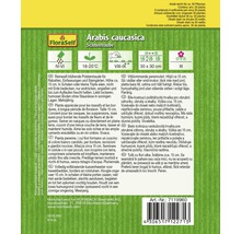 Balenie Arabis caucasica Schneehaube s informáciami o pestovaní a vlastnostiach