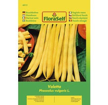 Balenie semien kríčkovej fazule