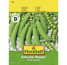 FloraSelf Kelvedon Wonder Hrach siaty, balenie semien