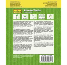 Balenie semien hrachu FloraSelf Kelvedon Wonder