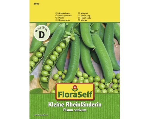 Hrach siaty Kleine Rheinländerin semená FloraSelf