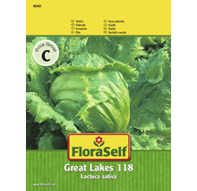 Balíček semien hlávkového šalátu FloraSelf Great Lakes 118