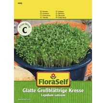 Semená žeruchy FloraSelf, žerucha hladkolistá veľkolistá