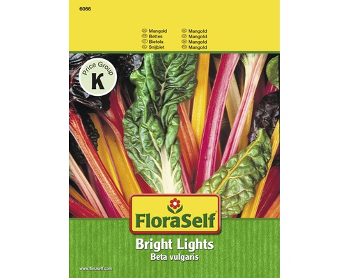 Mangold 'Bright Lights' FloraSelf-0