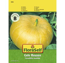 Balíček semien tekvice Gelber Zentner