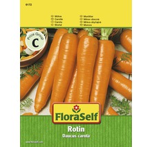 Mrkva Rotin FloraSelf
