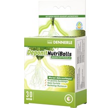 Hnojivo pre akváriové rastliny Dennerle Deponit NutriBalls 30 ks-thumb-1