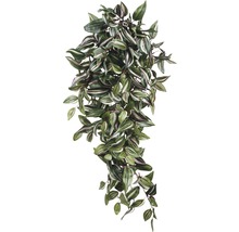 Umelá Tradescantia so zelenými a bielymi listami.