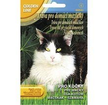 Balenie osiva pre mačky s obrázkom mačky