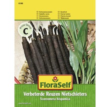 Balíček semien vylepšeného obrieho čierneho koreňa FloraSelf